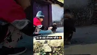 Sab Puppy ko de diya 😍 