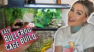 *EASY* Pixie Frog Terrarium Build | KristenLeannimal