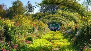 Visit the largest & Most beautiful Plant nursery in Quetta Balochistan |Zia Garden & Nursery