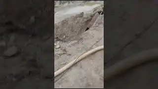 вибро грохот производство Старатель ДВ. работа на участке.