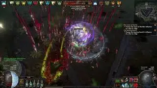 3.17 PoE - Al-Hezmin, the Hunter @ First Flawless & Deathless Kill!