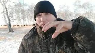 Ламинит( ОПОЙ , РЕВМАТИЗМ КОПЫТА). 