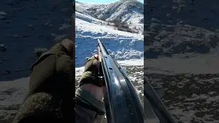 Karda Tavşan Avı 👍 