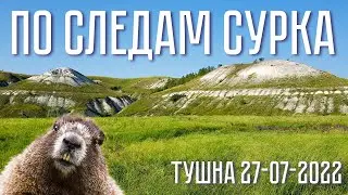 По Следам Сурка / In the footsteps of the Groundhog