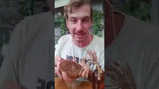 Турмалиновая подставка для кофе и священного дерева тика.