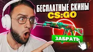 БЕСПЛАТНЫЕ СКИНЫ CS GO / CS2 - ХАЛЯВА КС ГО - ДЕШЕВЫЕ СКИНЫ КС ГО - САЙТЫ С ХАЛЯВОЙ КС ГО 2024