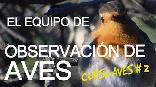 Todo lo que necesitas para la observación de aves - CURSO AVES #2