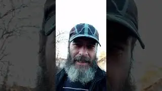 Бики .Війна ( В Україні)