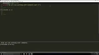 Multi line Comments in python