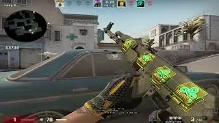 CS FATALITY!