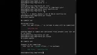 Git First Commit