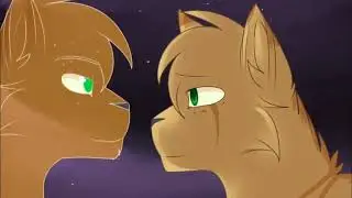 Клип Малиновый закат коты воители