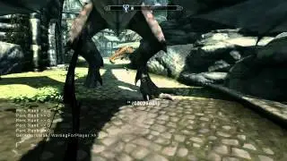 Skyrim: Fun with console commands