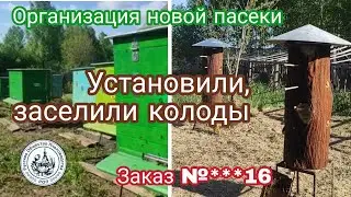 Установка и заселение колод. КИЛЬГИНО. Заказ: создание и обследование пасек.