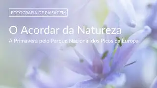 Fotografia de NATUREZA | O Acordar da Natureza | PICOS DA EUROPA