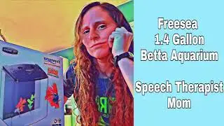 How to choose a Betta Aquarium (Small Fish Tank)- Freesea 1.4 Gallon Betta Aquarium Review