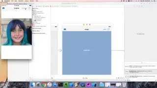 Swift App Dev. 30 - Hide the button if no filters have been selected.