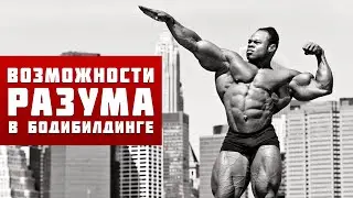 ВОЗМОЖНОСТИ РАЗУМА В БОДИБИЛДИНГЕ