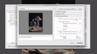Cómo crear una marca de agua con Lightroom
