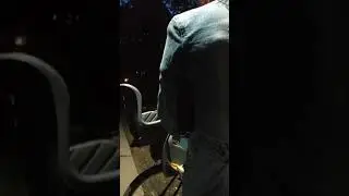Бухая на детском кресле