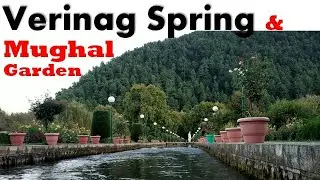 Verinag⛲Spring & Mughal🌲Garden