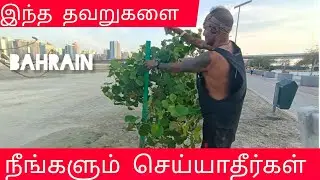 இந்தத் தவறுகளை நீங்களும் செய்யாதீர்கள் | Rain tree bird |koravankollai |