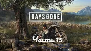 Days Gone / Жизнь после. Часть 15.