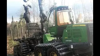 Maine Moose Hunting  RETRIEVAL & RECOVERY 💥WARNING GRAPHIC CONTENT💥 8 Bulls #maine #moosehunting