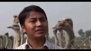 नारायण श्रेष्ठ Aastrich palak Rupandehi C. P. Sharma Narayan shresth BBC sajha sawal