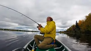 Musky fishing (autumn 2021)