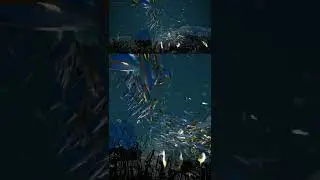 Fish Flock | Unreal engine 4.25 Niagara tutorial | UE4 Niagara Particle Attribute Reader