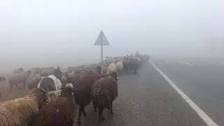 The polluted air of Iğdır --- Claims LIVES every year -- The difficult life of the villagers