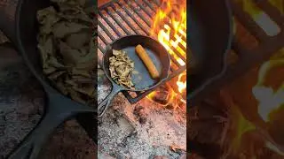 cooking up porcini and brats 🌭🍄 