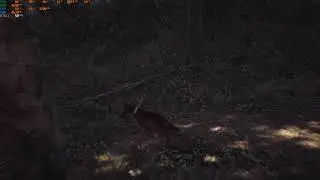 Blair Witch ultra and optimal graphics Xeon e5 1620 / Gtx 1060 6gb