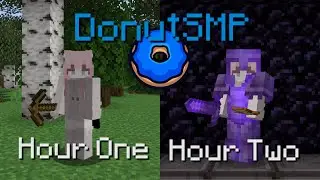 How I filled my STASH on DonutSMP