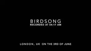 Birdsong - Recorded at 4:17am