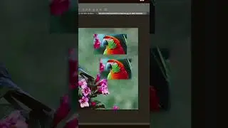 Visual difference in #feather effects|#Photoshop|#shorts