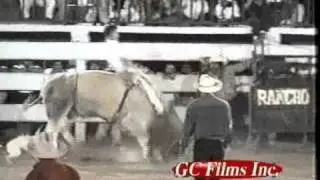 ¡¡ NIno Garibay Vs El Osito De Rancho San Jose De Apanguito Gro.!!