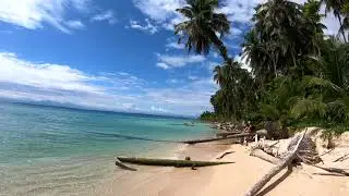 Panama - Bocas del Toro - Beach Walk (Zapatilla Island)