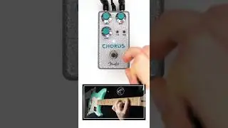 Fender - Hammertone Chorus #guitar #modulation #choruspedal