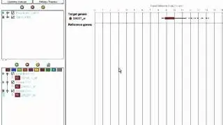 Choosing the right reference genes