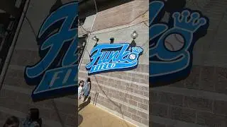 Funko Has A Baseball Team?!