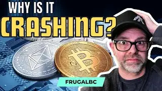 THIS is why the Bitcoin price is CRASHING