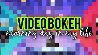 Video bokeh Widow Flower sleeps in the morning
