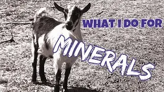 What I Do For Minerals
