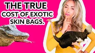 THE TRUE COST OF  EXOTIC SKIN DESIGNER HANDBAGS.