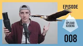 🎙️Crash Course, 100-400mm Eagles, Upcoming Vids (3.2k Subs)