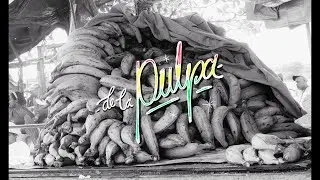L'Xuasma & El Arkeólogo - DE LA PULPA 🥭