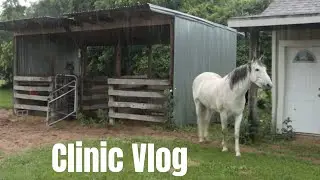 My Horse Ran Away, We Drove Through A Hurricane