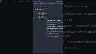 Create ninja star in python 